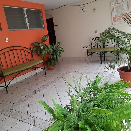 Green Monkey Hostel Flores Bagian luar foto