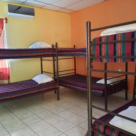 Green Monkey Hostel Flores Bagian luar foto