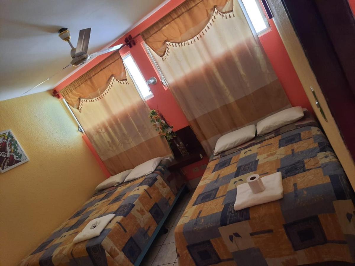 Green Monkey Hostel Flores Bagian luar foto