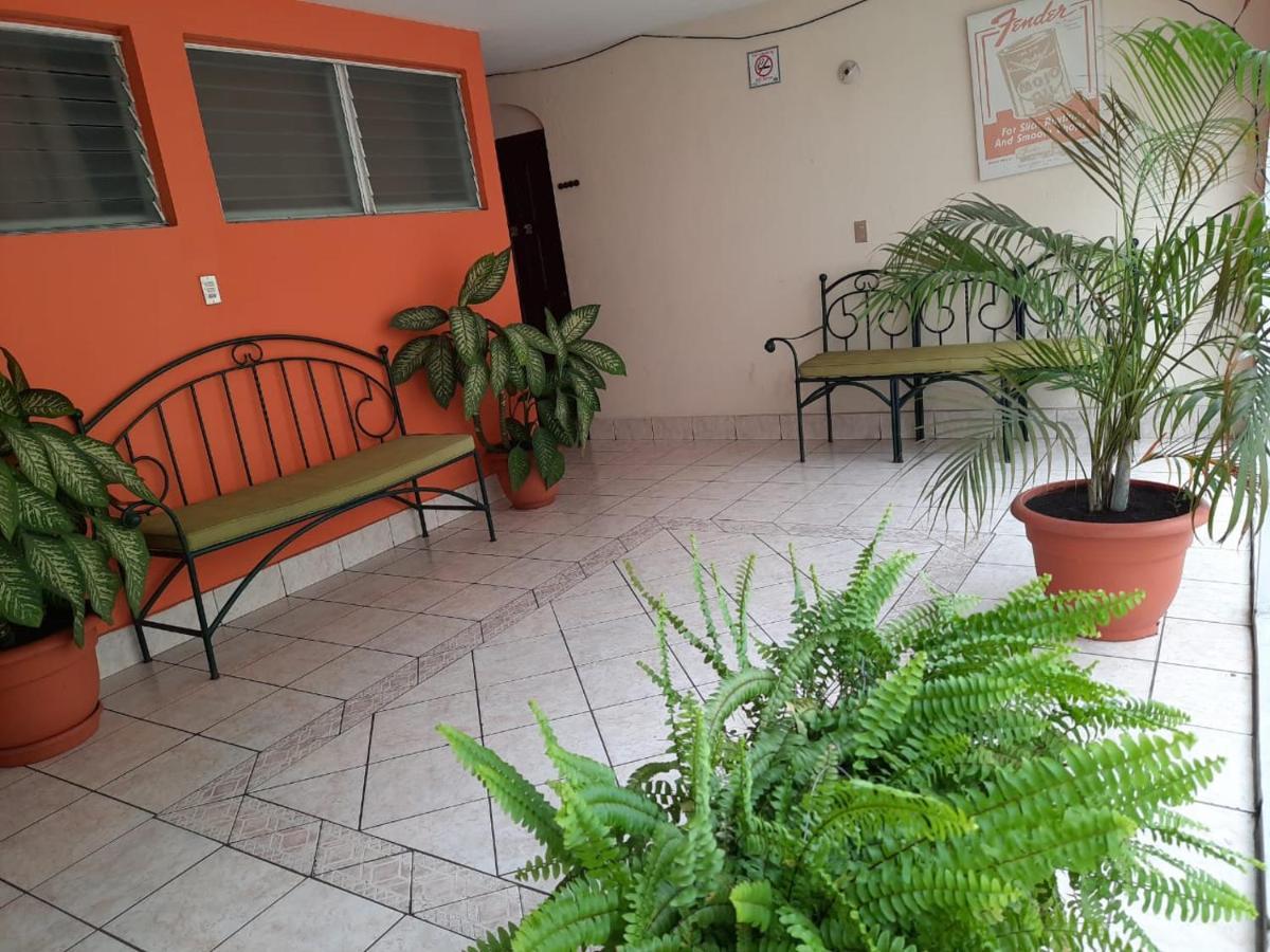 Green Monkey Hostel Flores Bagian luar foto